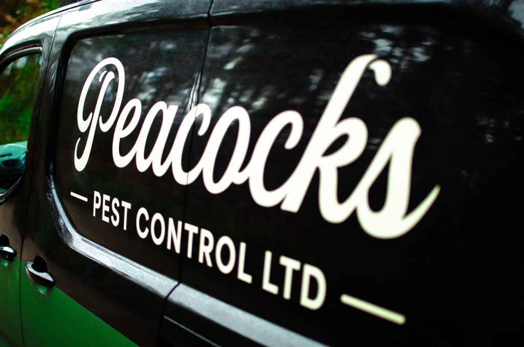 Peacocks branded van