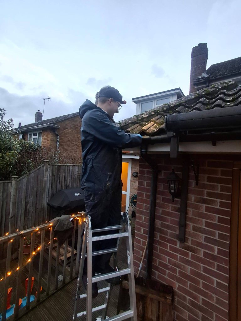 Pest proofing in progress