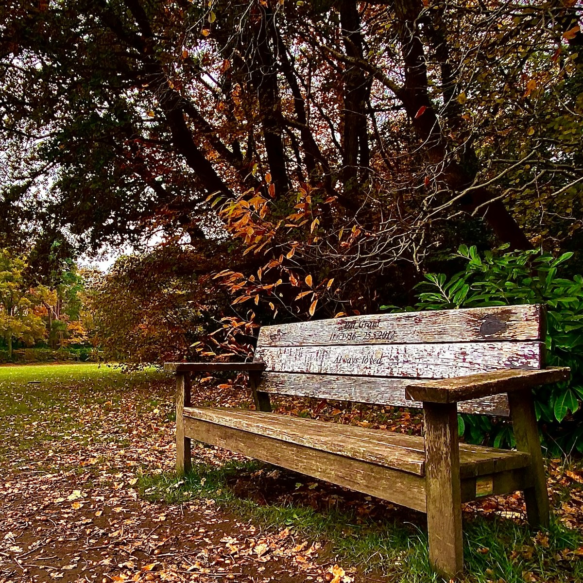 A bench at a memorial park